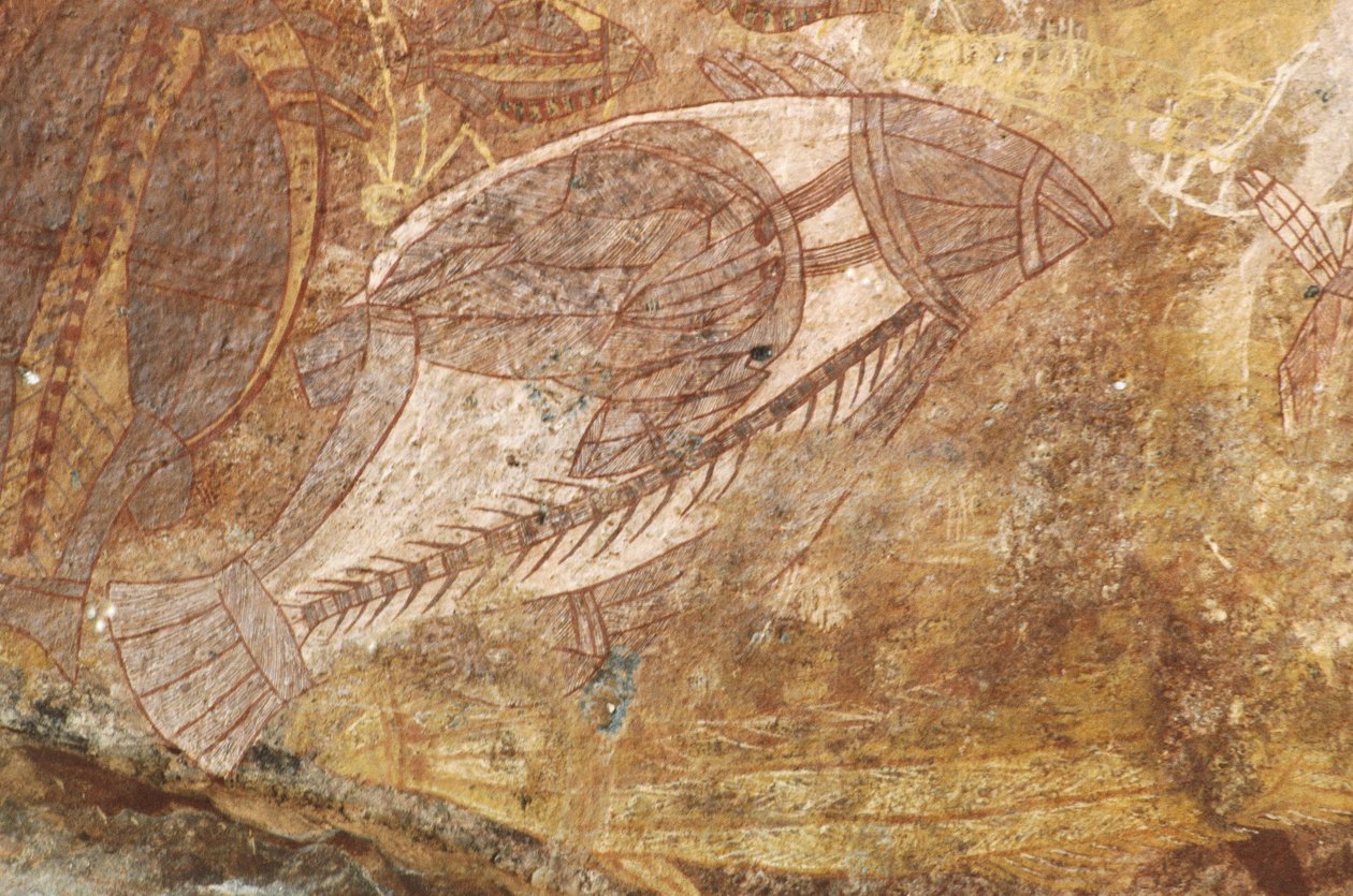Australia, Territorio del Norte, Arnhem Land, Parque Nacional Kakadu, Obiri Rock, pinturas rupestres aborígenes de Benjamin Baud
