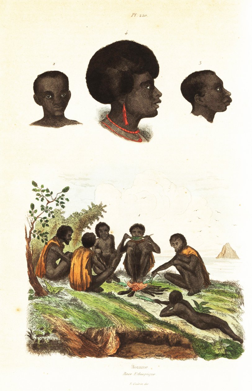 Aborígenes australianos y cabezas de nativos de Waigeo, Papúa Occidental1834-1839 (grabado) de Unbekannter Künstler