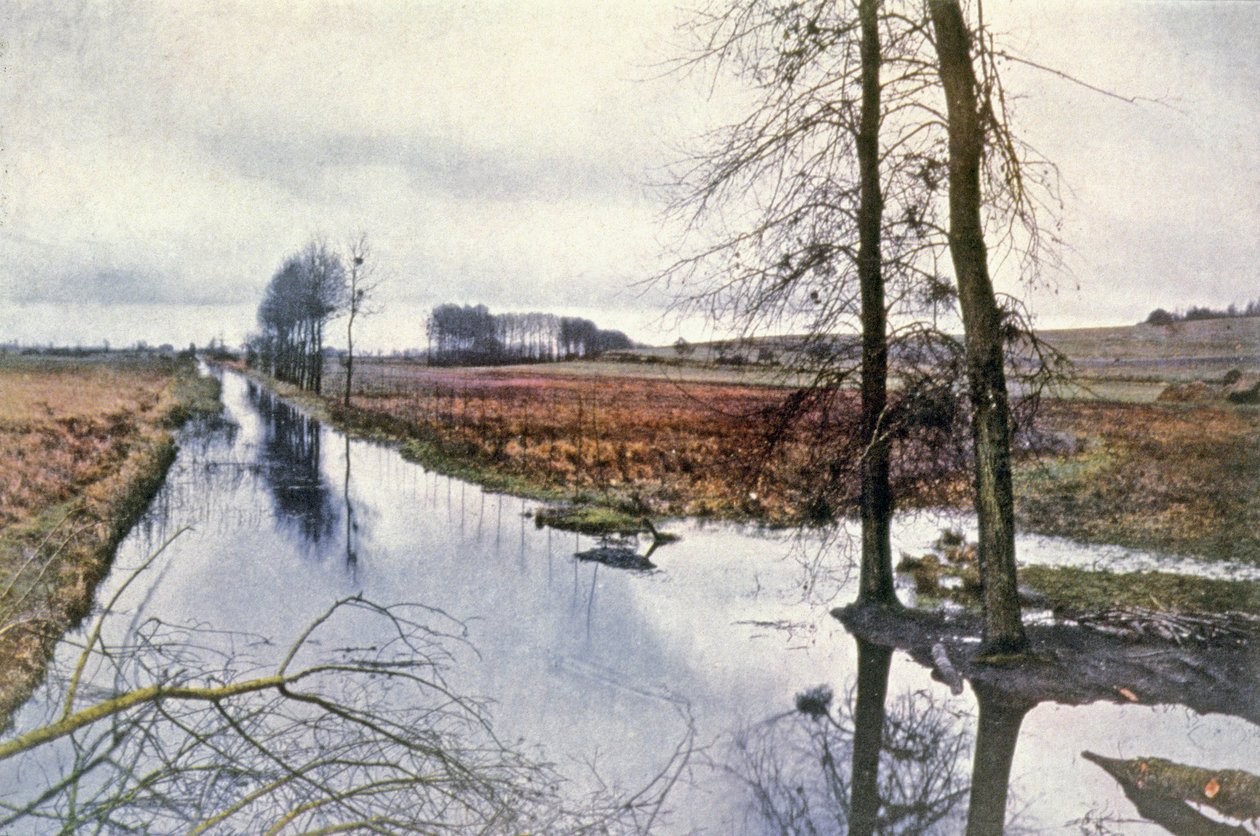 Batalla del Marne, pantanos de Saint Gond de Unbekannter Künstler