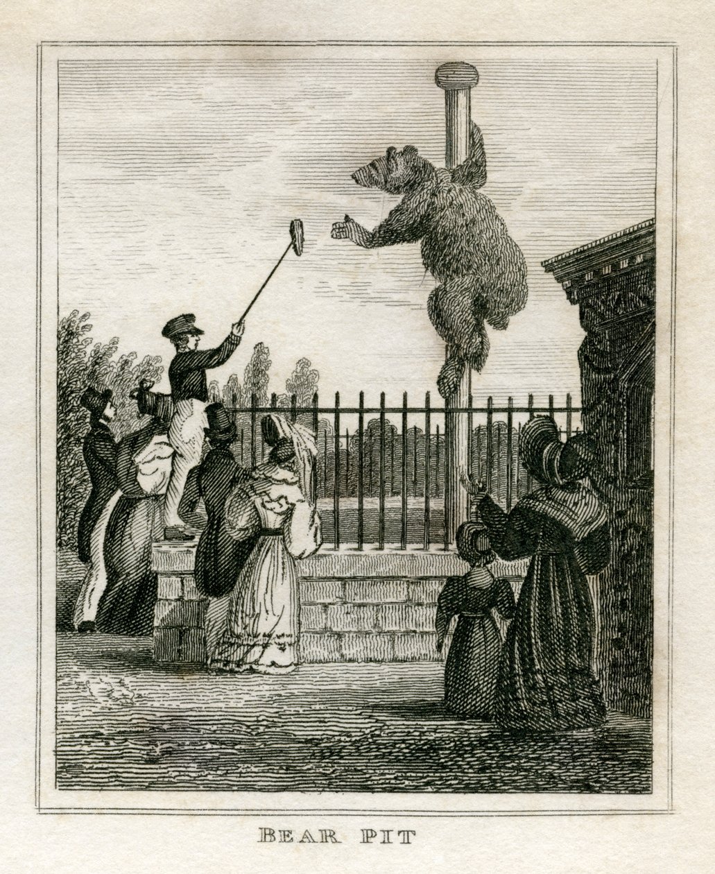 Foso de osos - Zoológico de Regent