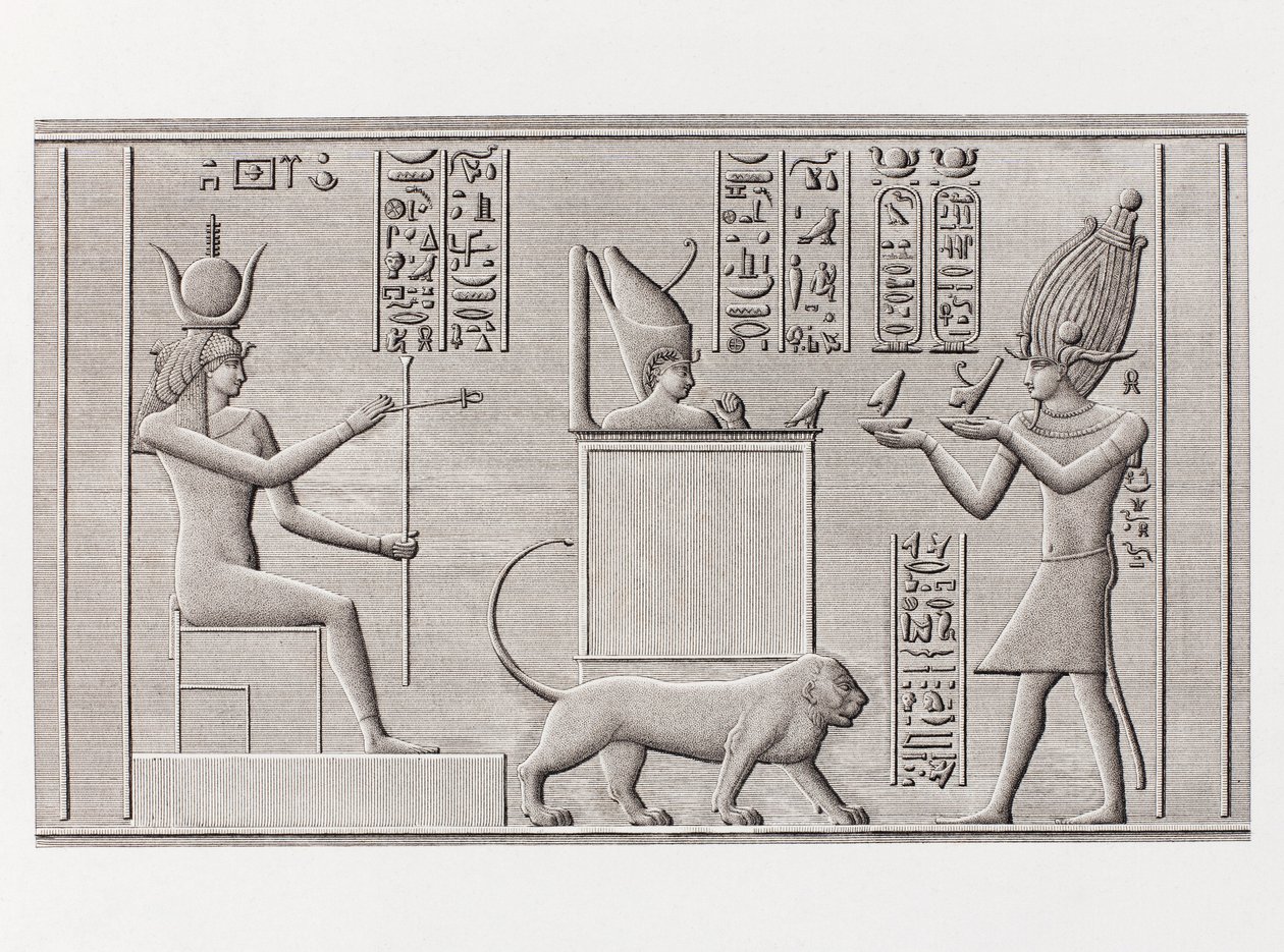 Libro: Descripción de Egipto de Unbekannt