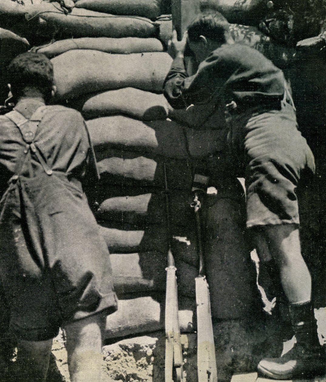 Tropas británicas luchando en pantalones cortos de drill caqui, Península de Gallipoli de Unbekannt