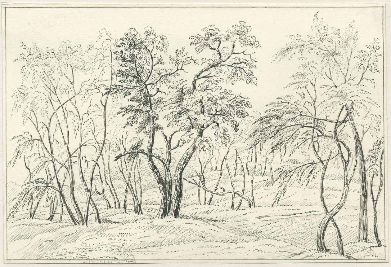 Cannock Chase de Unbekannt