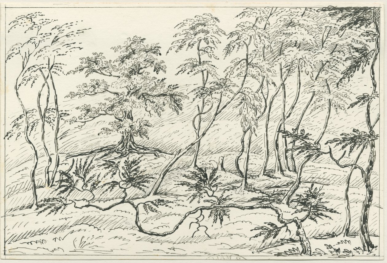 Cannock Chase de Unbekannt