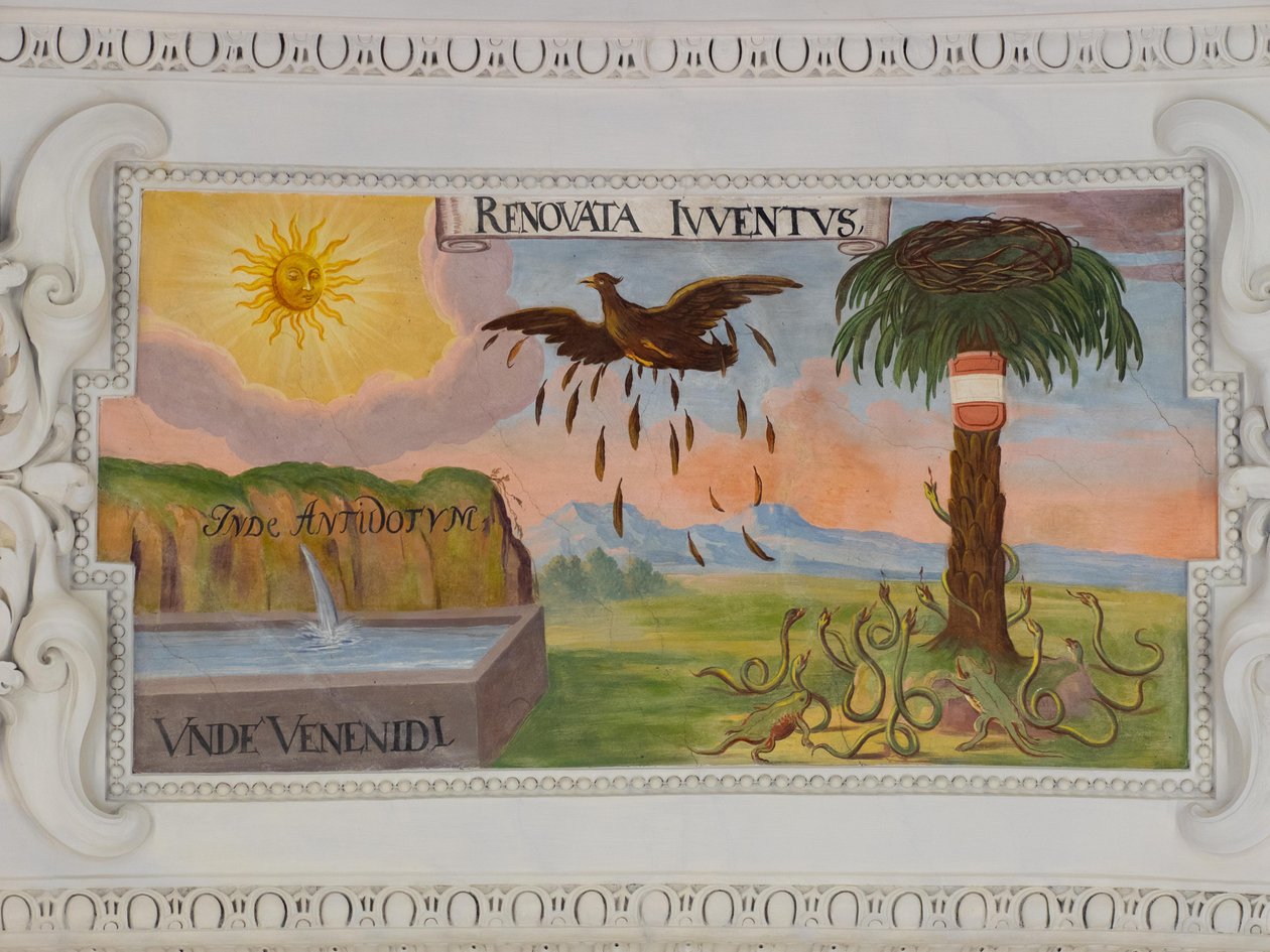 Fresco del techo de la nave de la iglesia de Santa Catalina, representaciones alegóricas de las victorias del emperador Leopoldo I sobre los otomanos, Mausoleo de los Habsburgo, Graz, Estiria, Austria, Europa (foto) de Unbekannter Künstler