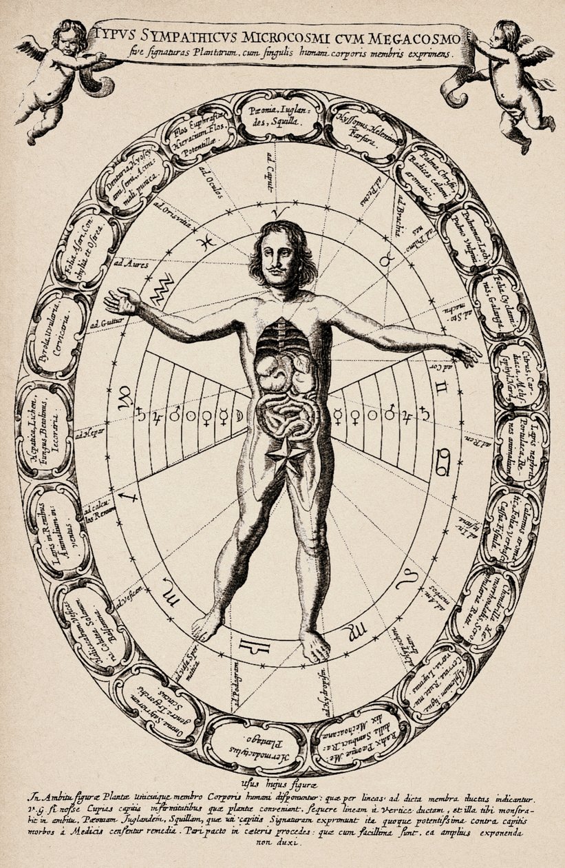 Correspondencia entre microcosmos y macrocosmos. Lámina extraída del "Mundus subterraneus" de Athanase Kircher (1601-1680) de Unbekannter Künstler
