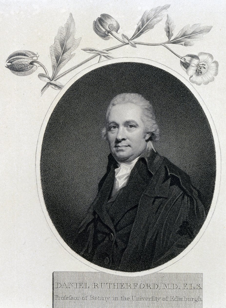 Daniel Rutherford, químico y botánico escocés, principios del siglo XIX de Unbekannt