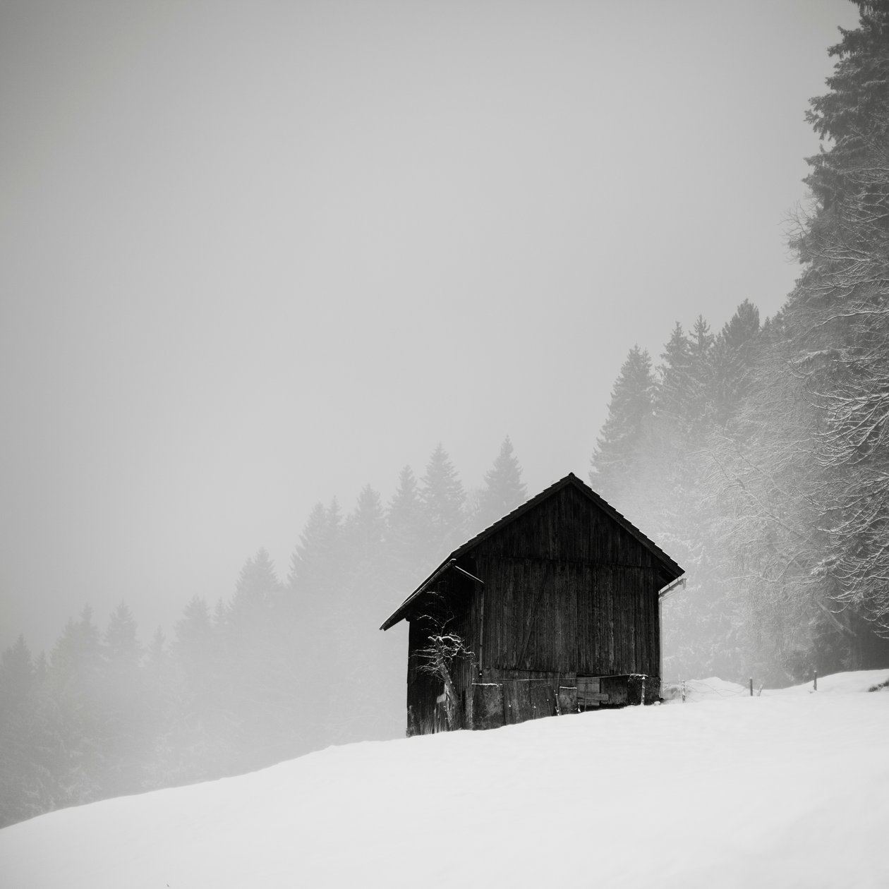 El secreto de la compensación, Oberstaufen, Alemania, 2013 (fotografía en B/N) de 