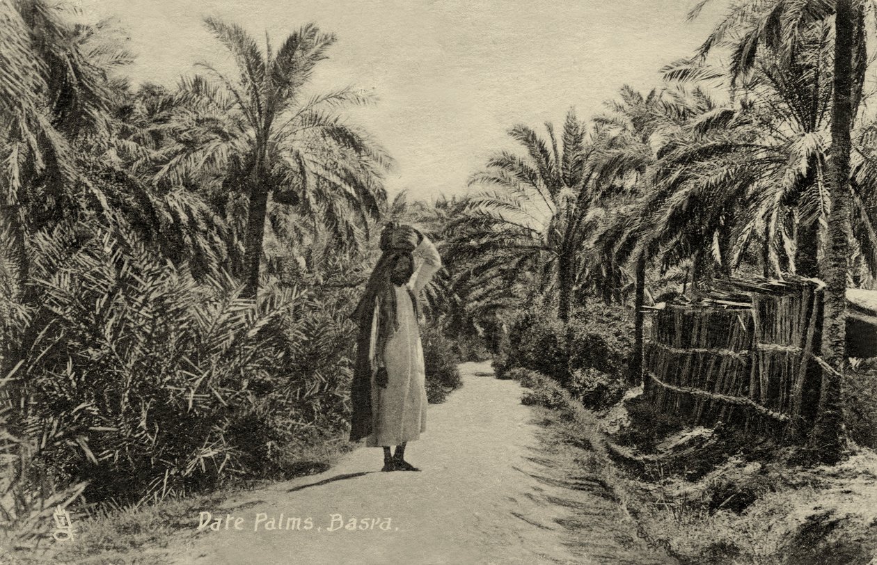 Palmeras datileras, Basora de Unbekannter Künstler