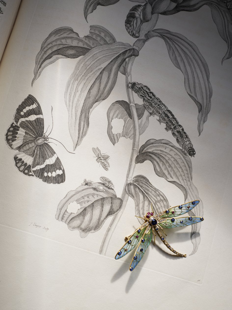 Joyas de insectos y bichos de Deborah Devonshire sobre 