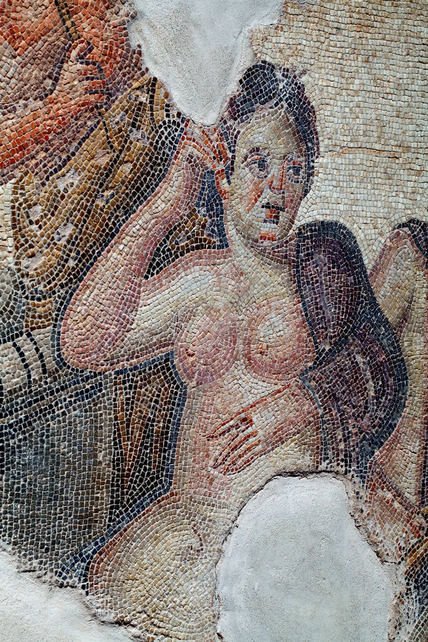 Detalle del panel que muestra a Leda, reina de Esparta, en compañía de las muchachas lacedemonias, a punto de tomar un baño en el río Eurotas - Se le acerca Zeus disfrazado de cisne - Mosaicos de Pafos, Casa de Aion, siglo III d.C. - Chipre - D de Unbekannter Künstler
