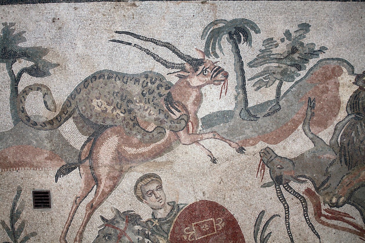 Detalle del mosaico de la gran caza. Un leopardo atacando a una gacela. Siglo III - IV. Villa Romana del Casale, Sicilia. Sitio UNESCO. de William M. Timlin