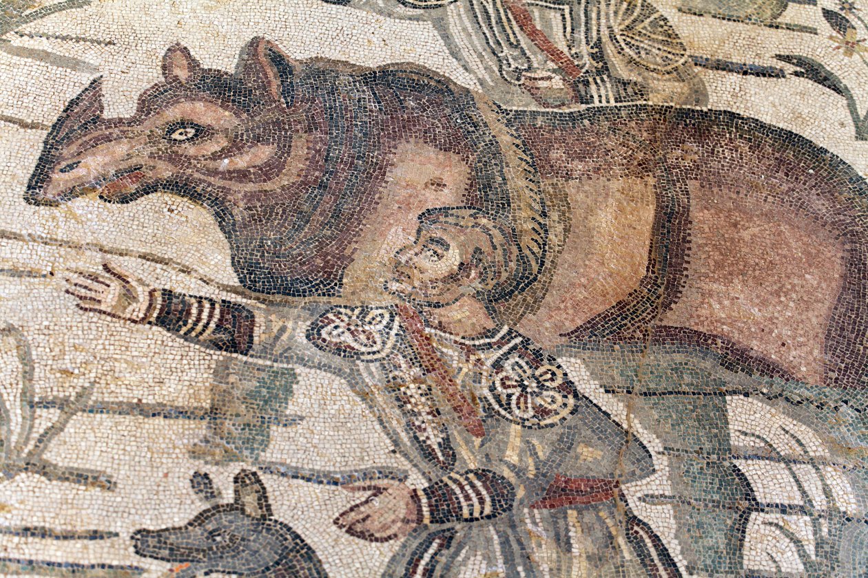 Detalle del mosaico de la gran caza. Un rinoceronte está siendo llevado a un barco para ser transportado al puerto más cercano. Siglo III - IV. Villa Romana del Casale, Sicilia. Sitio UNESCO. de William M. Timlin