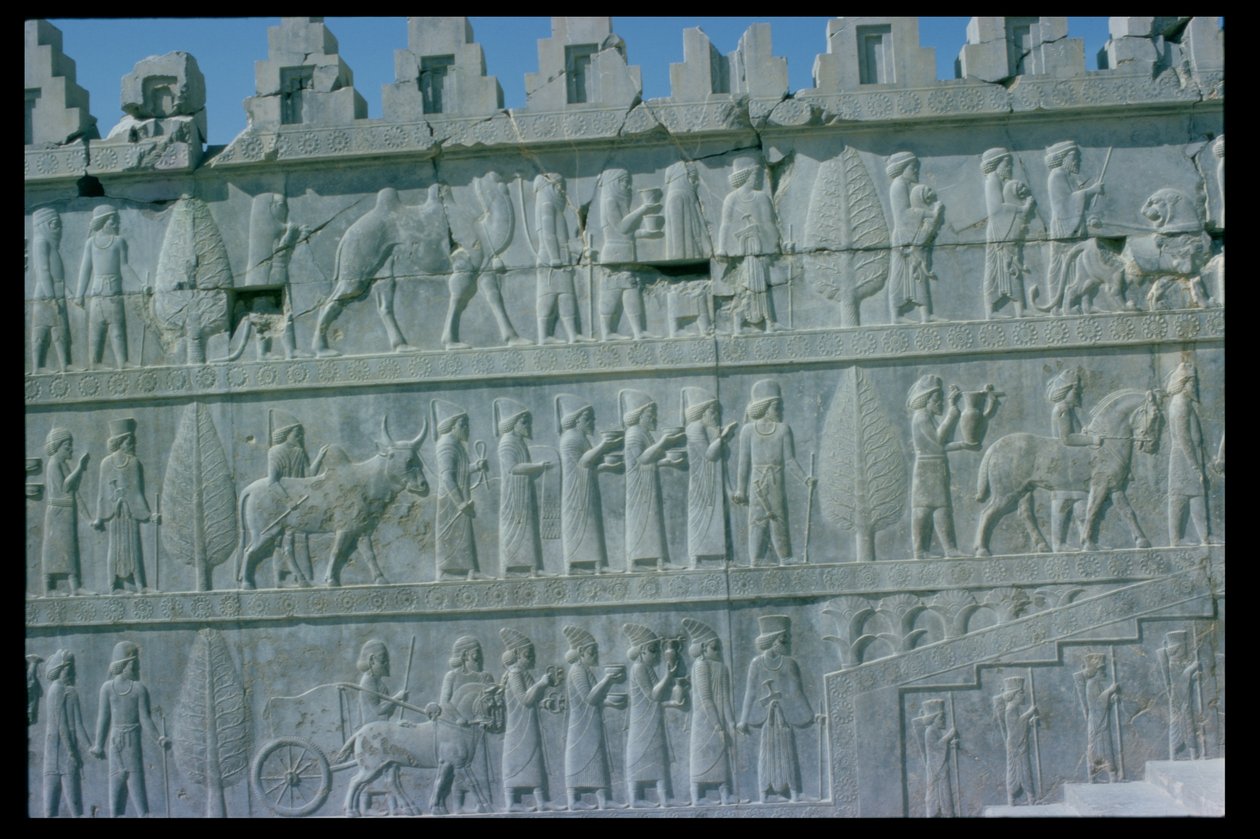 (Detalle) del friso en relieve en la escalera este del Apadana (sala de audiencias) que representa a delegados de las tierras sujetas al imperio llevando regalos lujosos para una ceremonia, período aqueménida, c.515 a.C. de Unbekannt