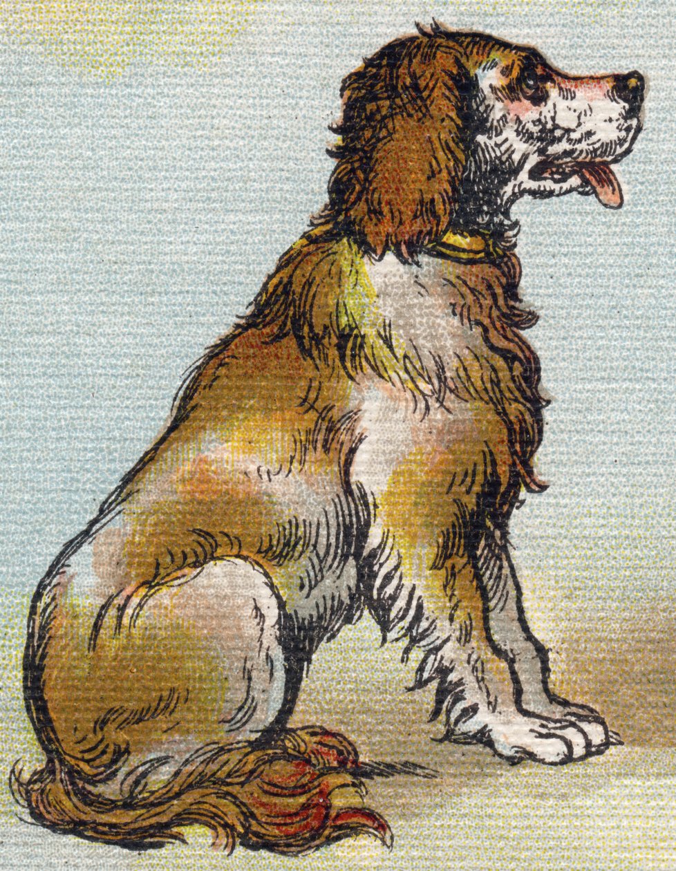 Perro. Grabado en "Alphabet de ma petite fille". Bernardin-Bechet y Fils, libreros-editores, París, alrededor de 1895. Álbum irrompible en lienzo. Bibliothèque des Bébés. 12 páginas. Álbum que contiene un método de lectura y un abecedario ilustrado de Unbekannt