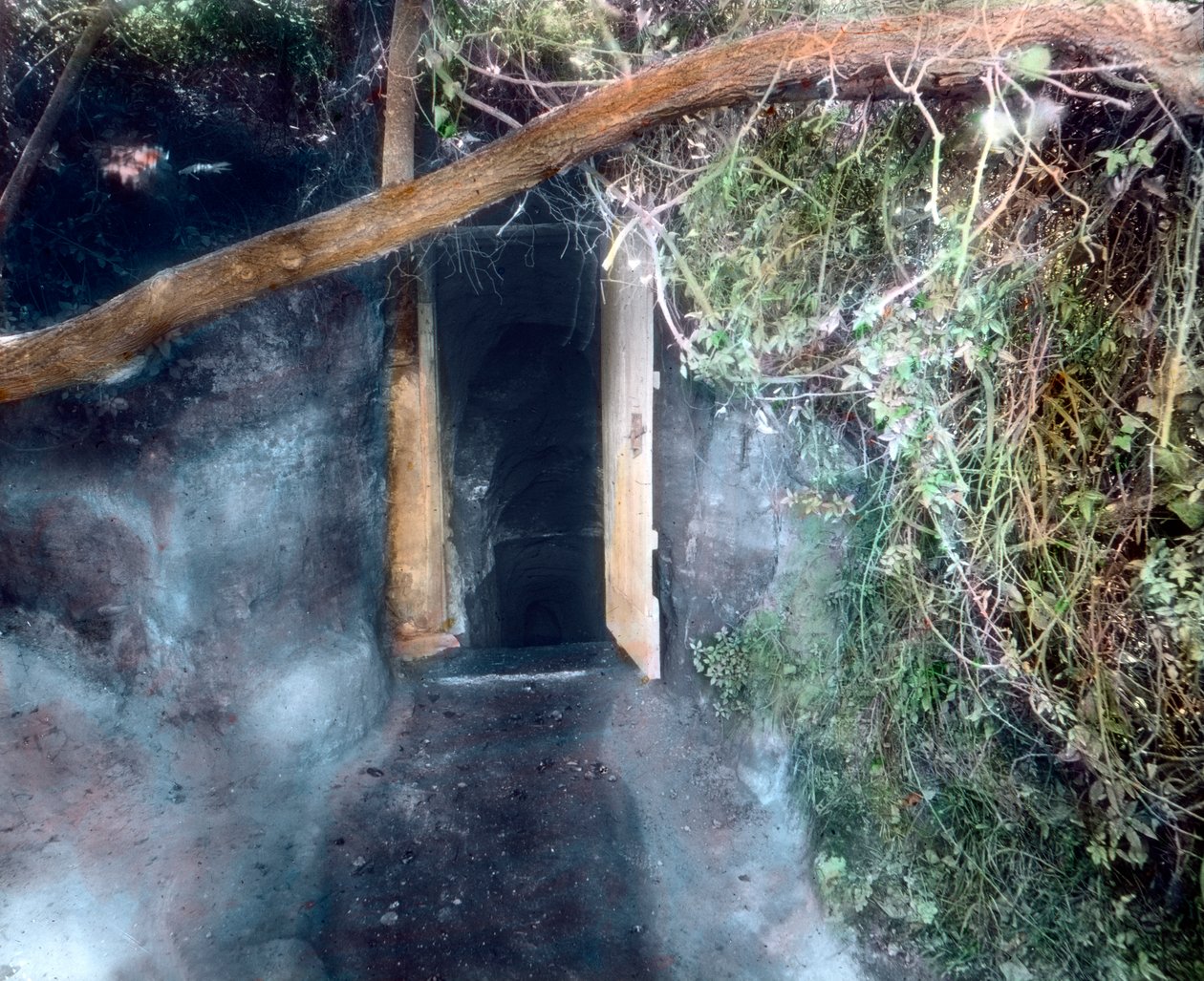 Gruta de los perros cerca de Nápoles - los perros se ahogan con dióxido de carbono y el hombre sobrevive de Unbekannter Künstler