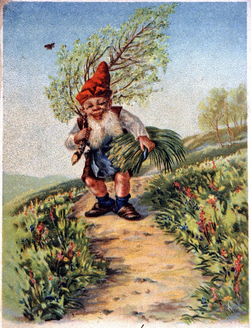Enano volviendo de recoger, c.1900 (postal) de Unbekannter Künstler