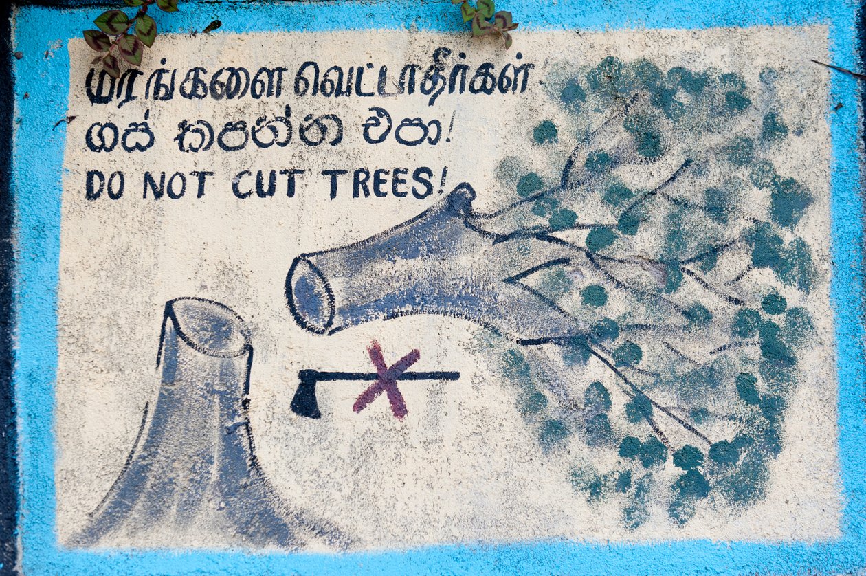Protección ambiental; cartel pintado; 
