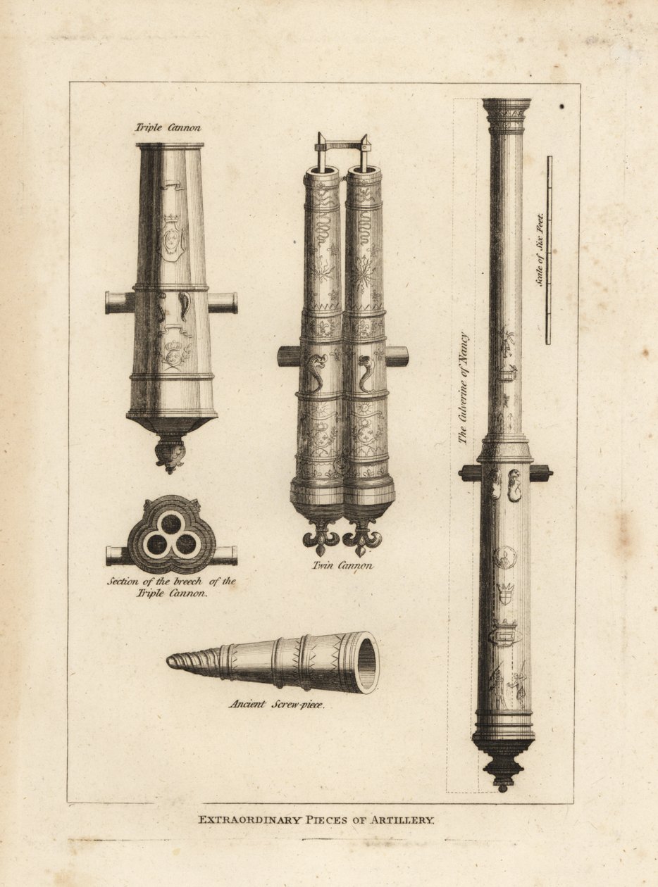 Piezas extraordinarias de artillería: vista y sección de la culebrina de Nancy, un cañón triple, un cañón gemelo y una pieza de tornillo antigua de Unbekannt