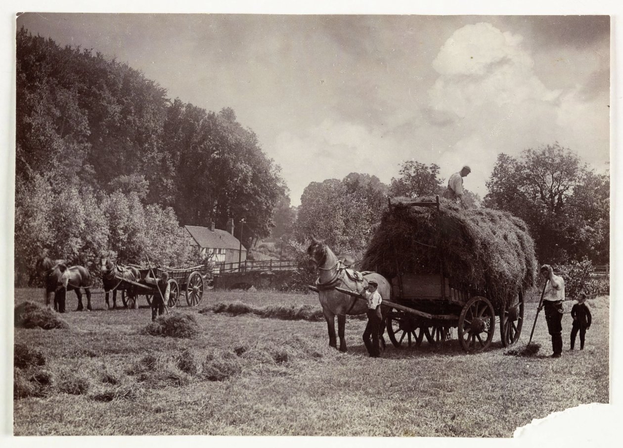 Escenas de agricultura, Cosecha y almacenamiento, Heno pre-1900, c. 1890 de Unbekannt