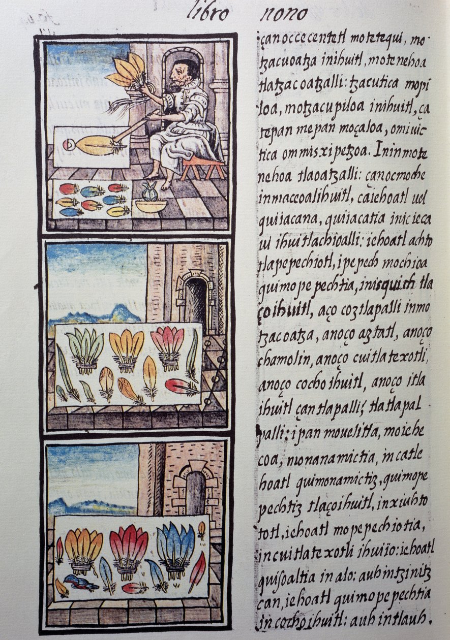 Procesamiento de plumas tras la conquista española, página del Códice Florentino, versión bilingüe en español y náhuatl, Historia General de las Cosas de la Nueva España, por el misionero español Fray Bernardino de Sahagún. Civilización azteca de William M. Timlin