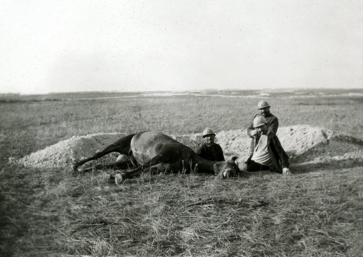 Primera Guerra Mundial 14-18 (1914-1918): tres soldados franceses entierran un caballo muerto - fotografía en placa de vidrio - de Unbekannter Künstler