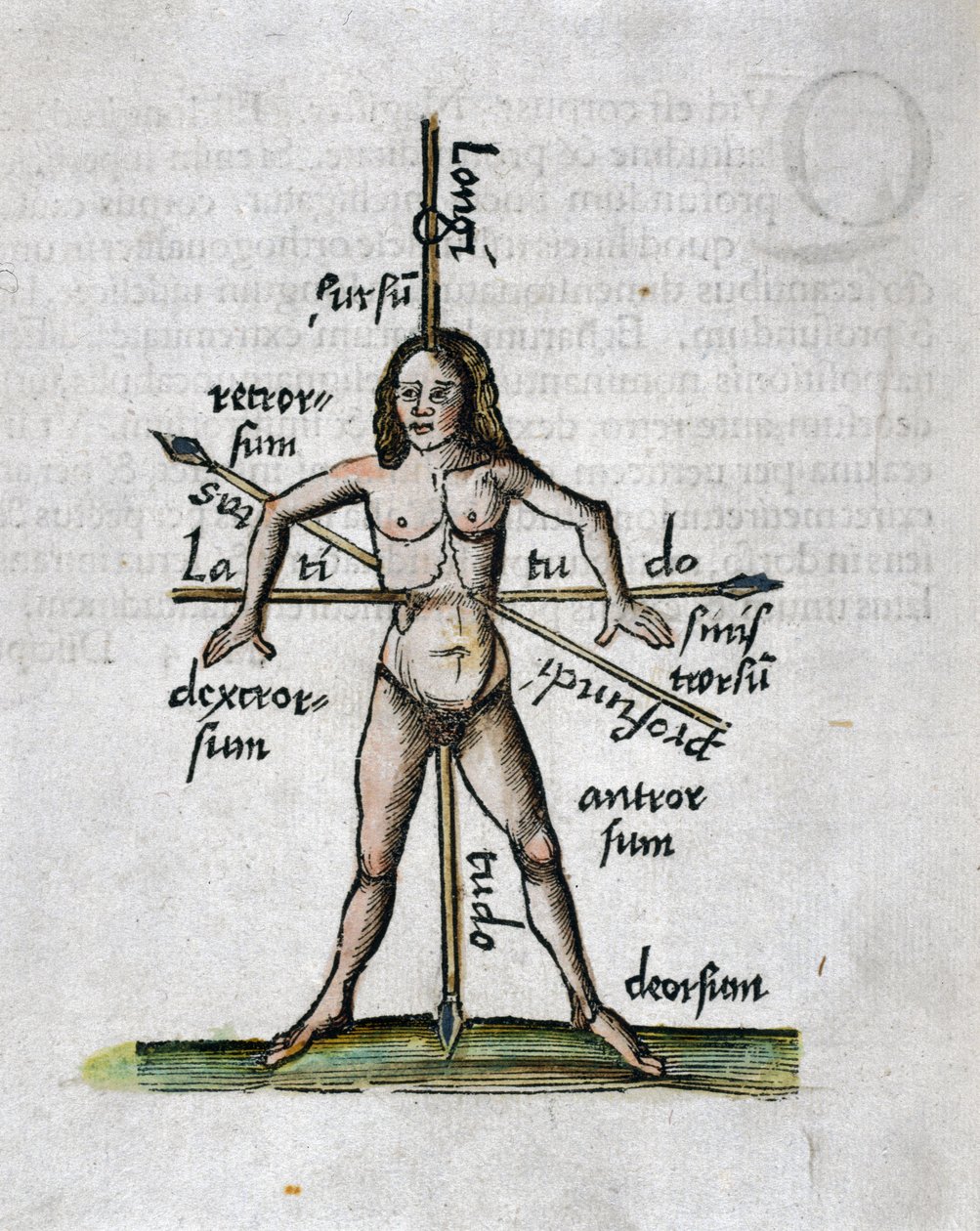 Geografía siglo XVI: figura humana representando las longitudes y latitudes, su cuerpo es atravesado por lanzas orientadas según los ángulos de las líneas imaginarias de Unbekannt