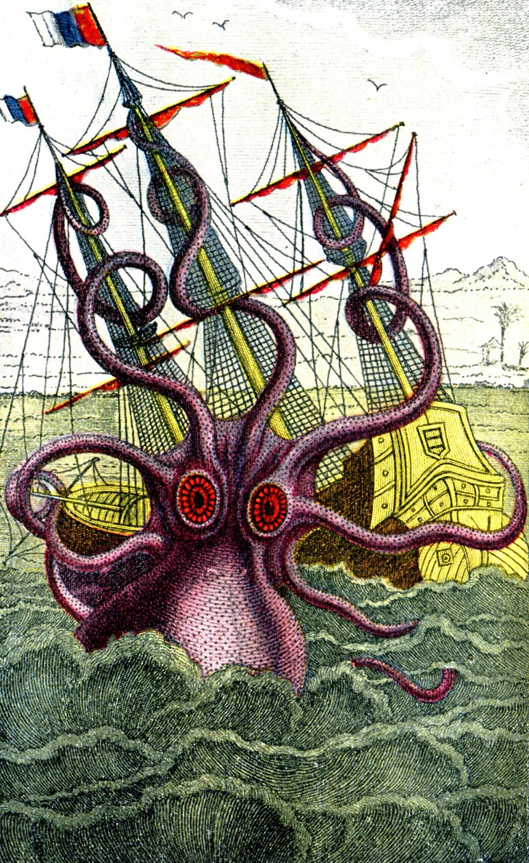 Calamar gigante de Unbekannter Künstler