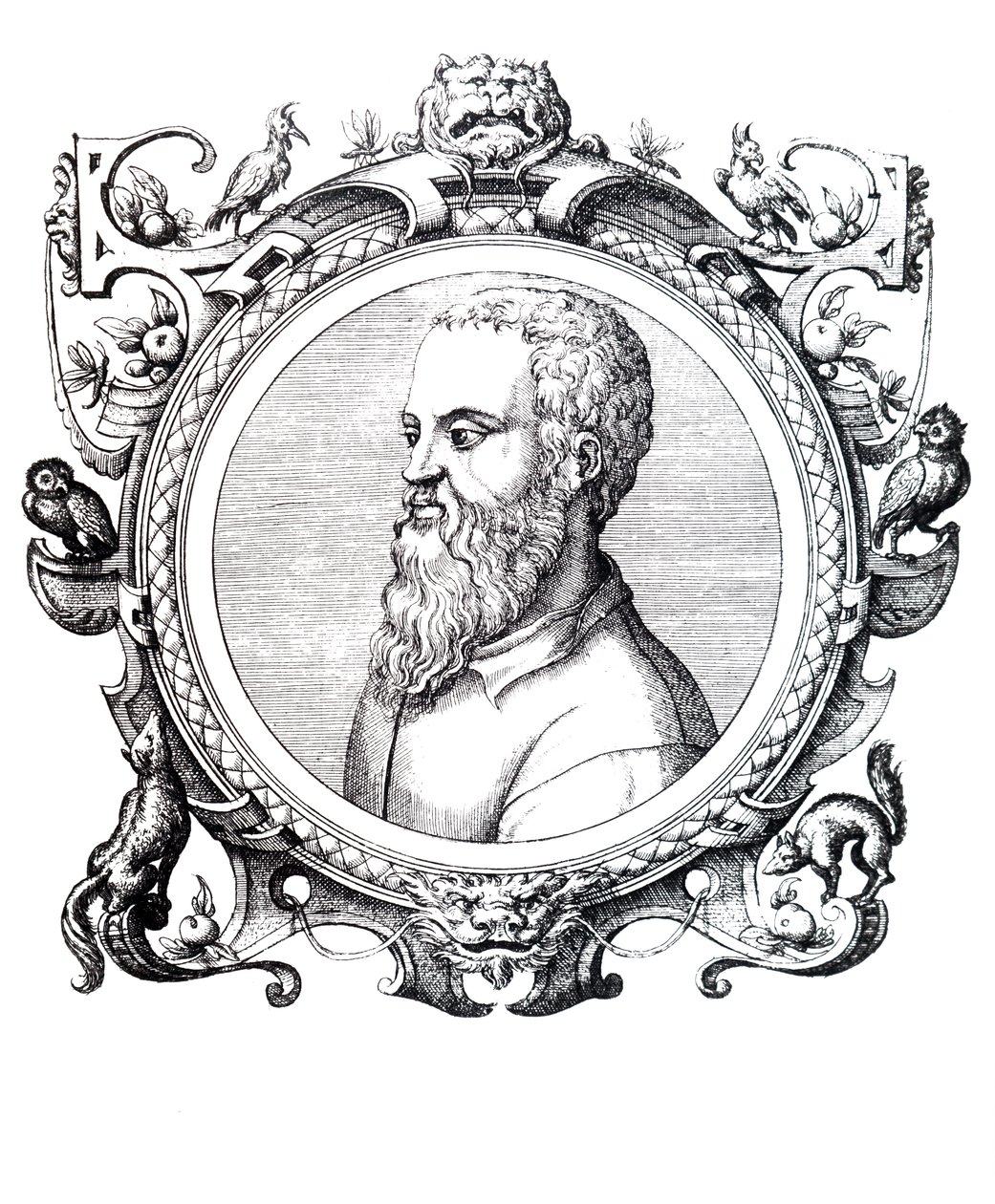 Guillaume Rondelet de Unbekannt