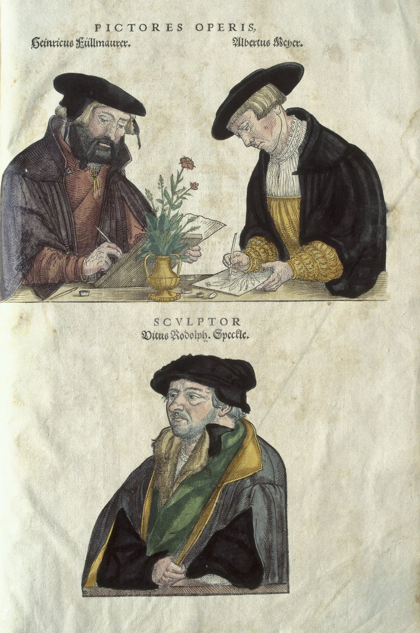 Herbarios Albrecht Mayer, Veil Rudolph Speckle y Heinrich Fullmaurer de Unbekannt