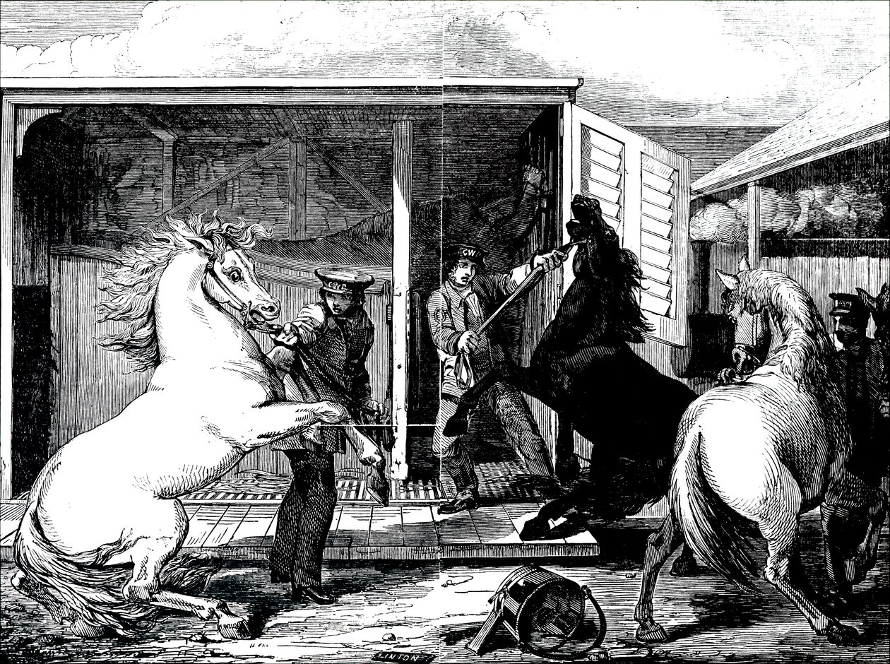 Caballos en la estación de tren de Gloucester de Unbekannt