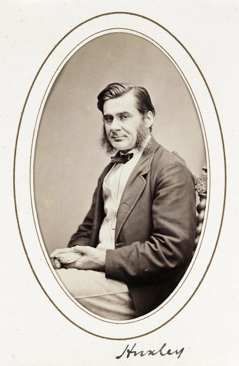 Huxley, c. 1865 de Unbekannt