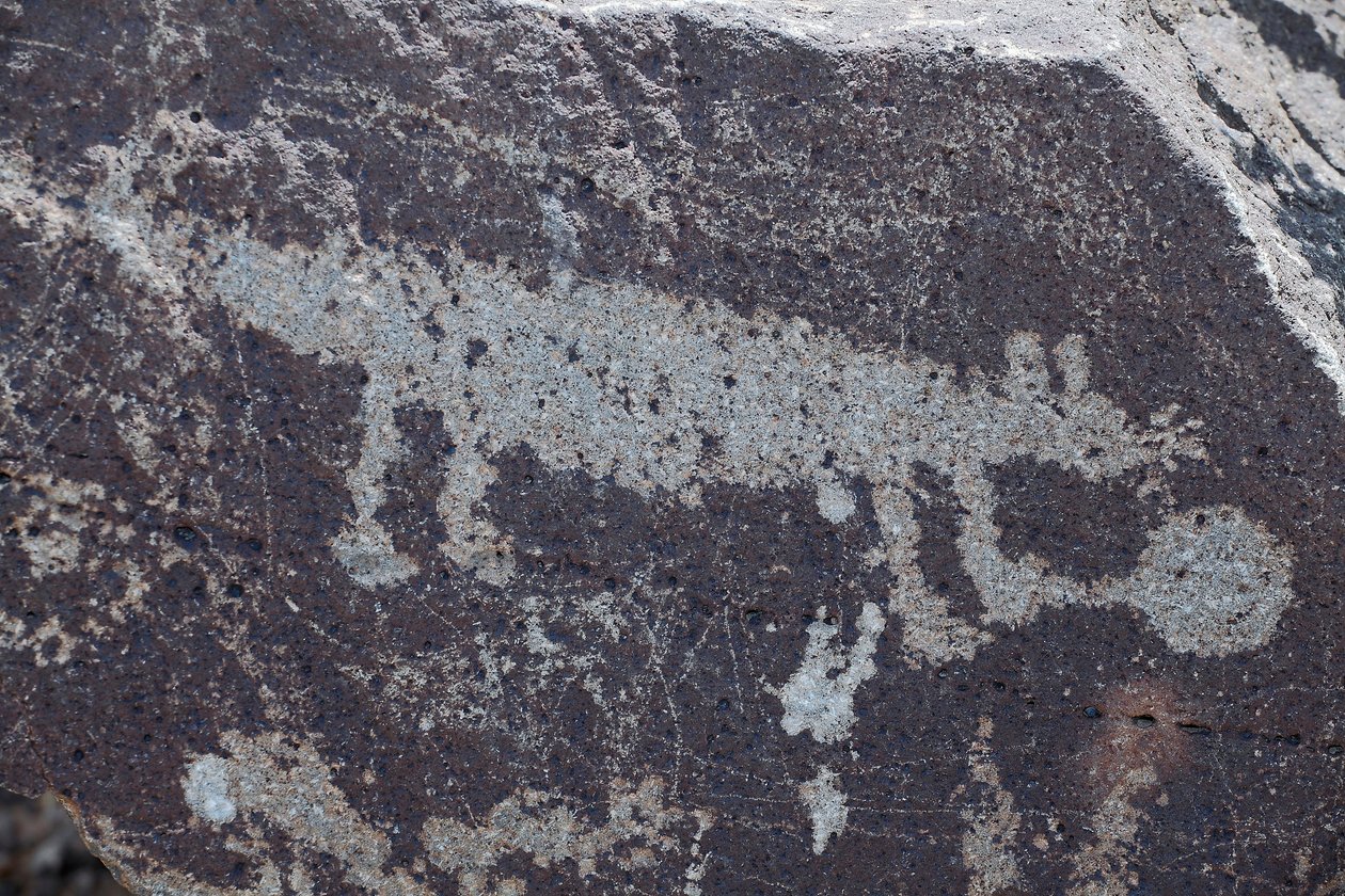 Petroglifos indios representando animales - Monumento Nacional de Petroglifos - Albuquerque, Nuevo México, EE.UU. (EE.UU.) de William M. Timlin