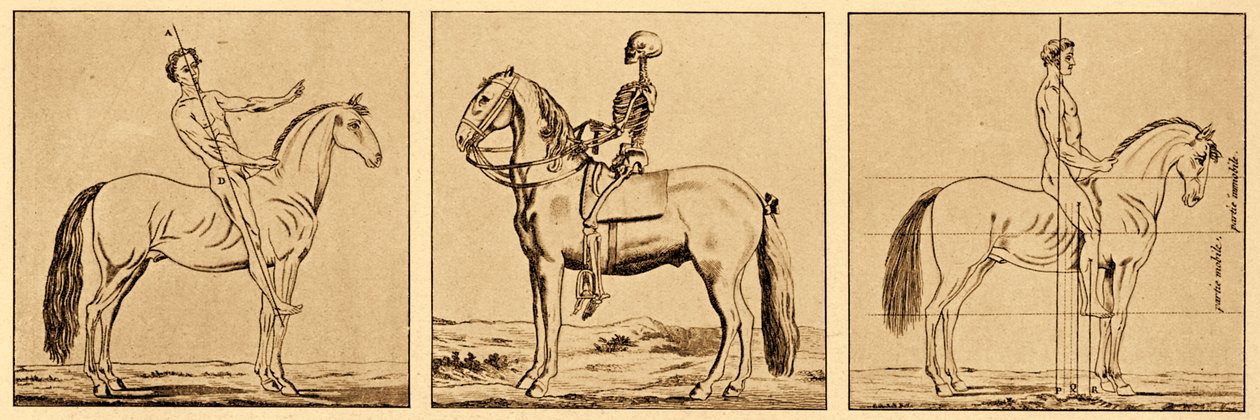 Instrucciones sobre la postura a caballo de Unbekannter Künstler