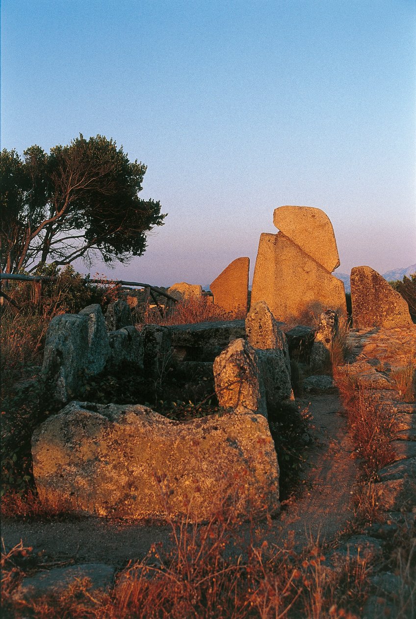 Italia, Cerdeña, Arzachena, provincia de Olbia-Tempio, tumba de los Gigantes de Li Longhi, vista trasera de Nicolas d