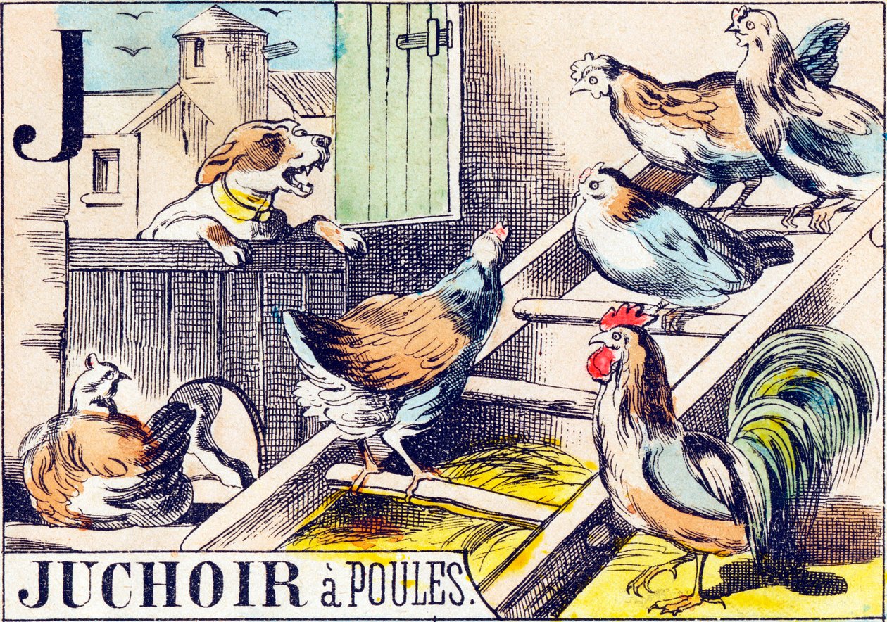 J Juchoir a poules - "Alfabeto de la granja" finales del siglo XIX (grabado) de Unbekannt