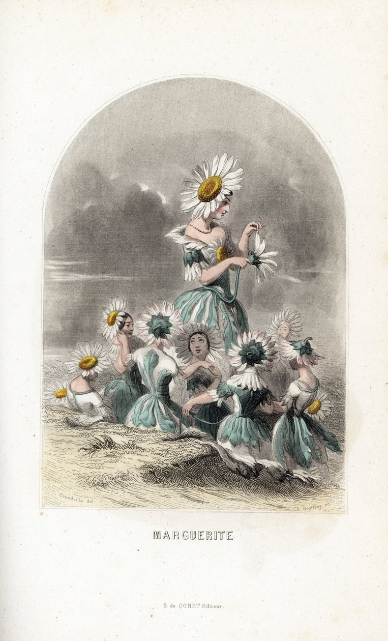 Les fees des daisies des pres, rematados con sombreros de flores, uno deja los pétalos de una margarita - Eau forte de Charles Geoffroy (1819-1882), según una ilustración de Jean Ignace Isidore Gerard dit J.J.Granville (1803-1847), para Les fleurs animees de Unbekannter Künstler