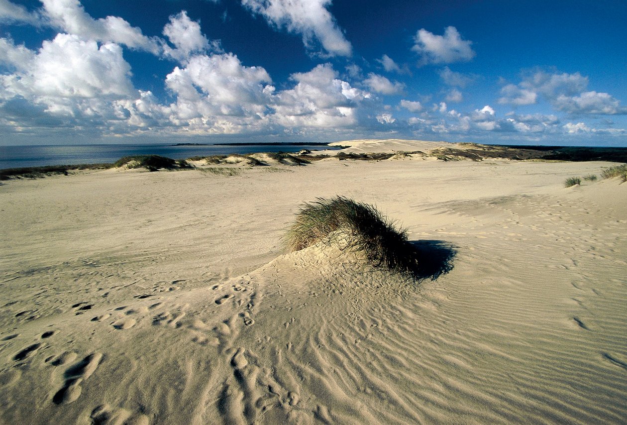 Lituania, Klaipeda, Istmo de Curlandia, Nida, dunas de arena móviles llamadas Sahara Prusiano de William M. Timlin