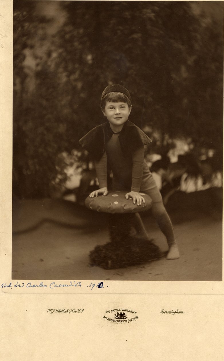 Lord Charles Cavendish de William M. Timlin