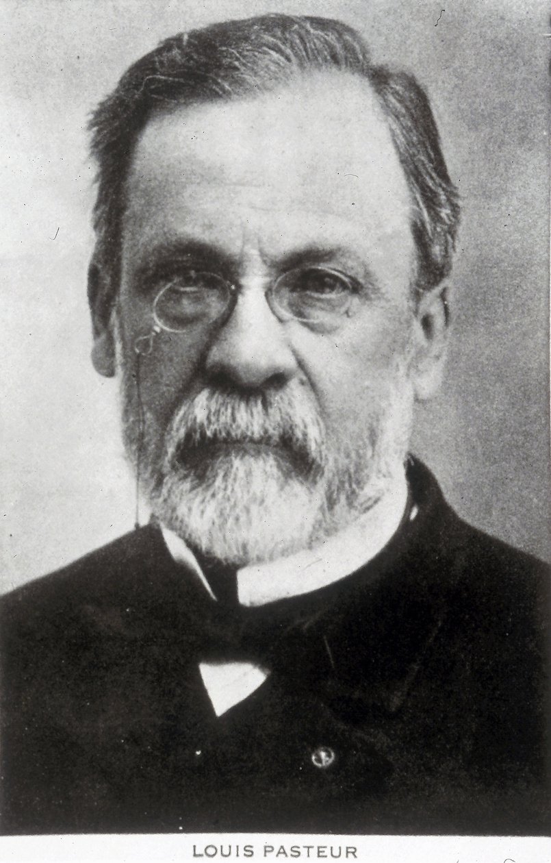 Louis Pasteur, químico y microbiólogo francés, c 1885 de Unbekannter Künstler