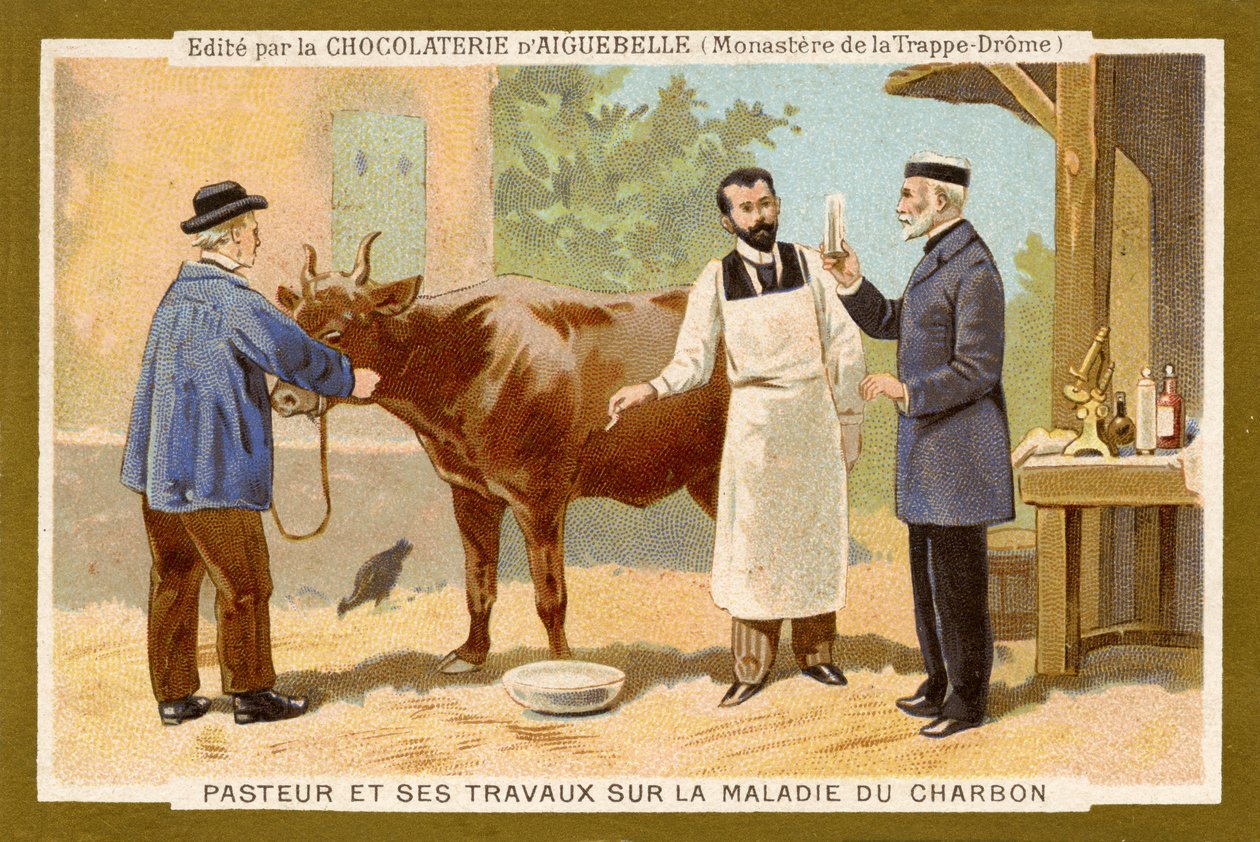 Louis Pasteur trabaja para encontrar una cura para el ántrax de Unbekannter Künstler