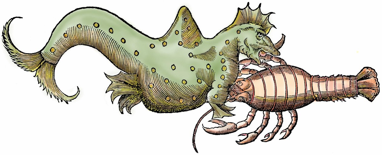 Dragón marino y crustáceo gigante, xilografía extraída de "Paralipomena accuratissima historiae omnium animalium quae in voluminibus Aldrovandi desiderantur/Bartholomaeus Ambrosinus... summo labore collegit; Marcus Antonius Berna bibliopola bononiensis p de Unbekannter Künstler