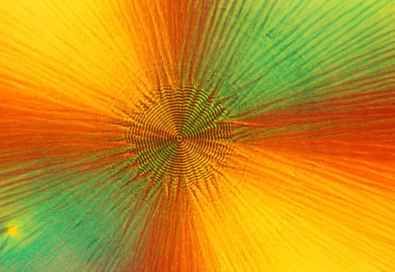 Micrografías (Luz) Ácido ascórbico, micrografía de luz de Unbekannt