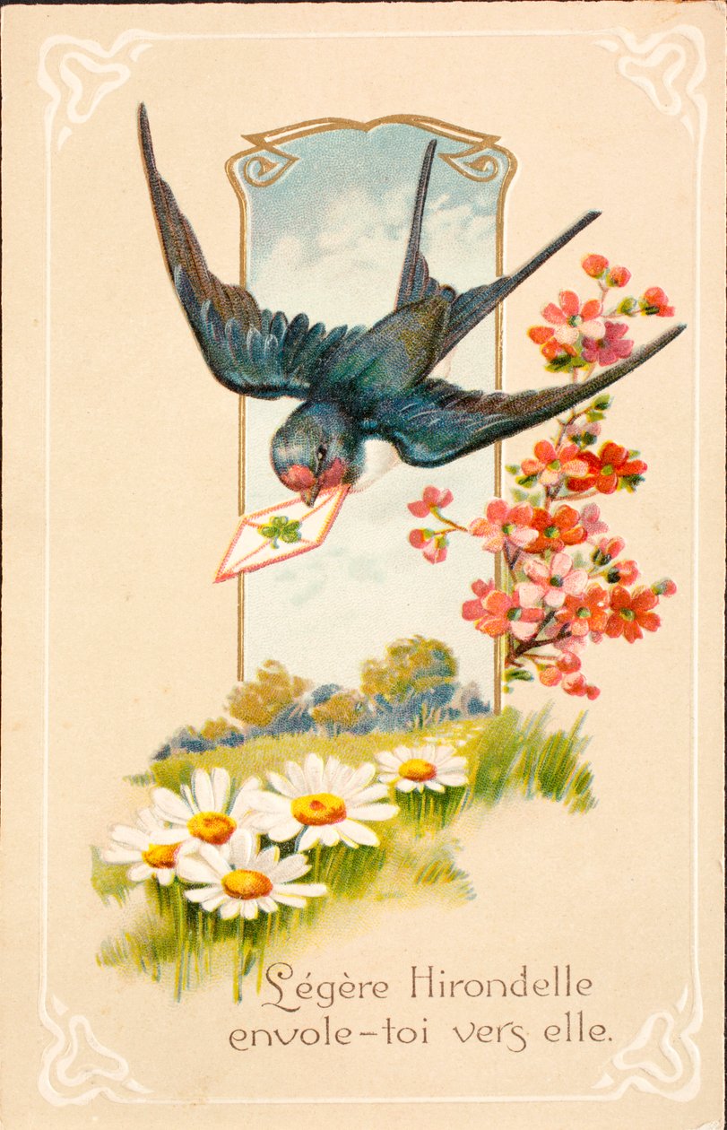 Tarjeta postal antigua / Golondrina / Mensaje de Unbekannt