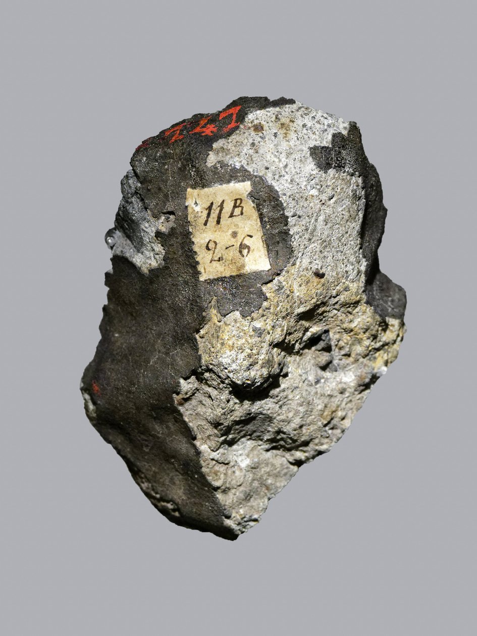 Condrita ordinaria (LL5). Caída en Siena (Italia) en 1794. Museo Nacional de Historia Natural, París de Unbekannt