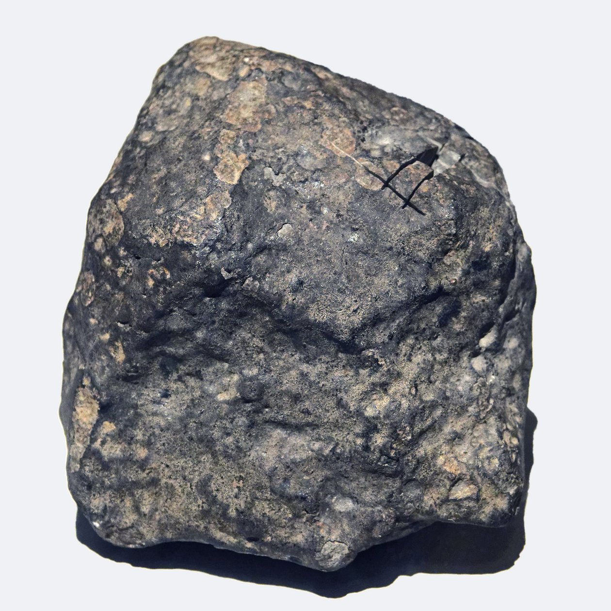Condrita ordinaria (L/LL5). Caída en Ucrania en 1866. Museo Nacional de Historia Natural, París de Unbekannt