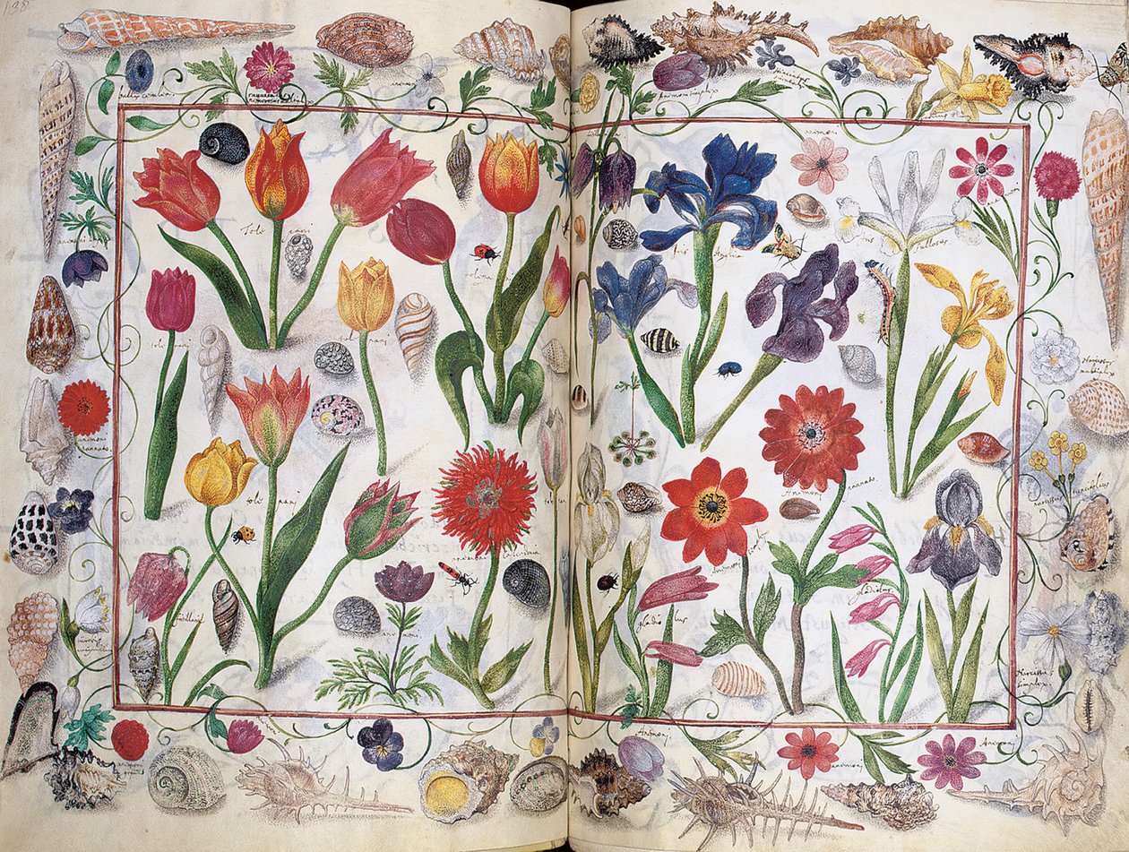 Páginas del Álbum Amicorum de Philipp Hainhofer, 1596-1633 de Unbekannt