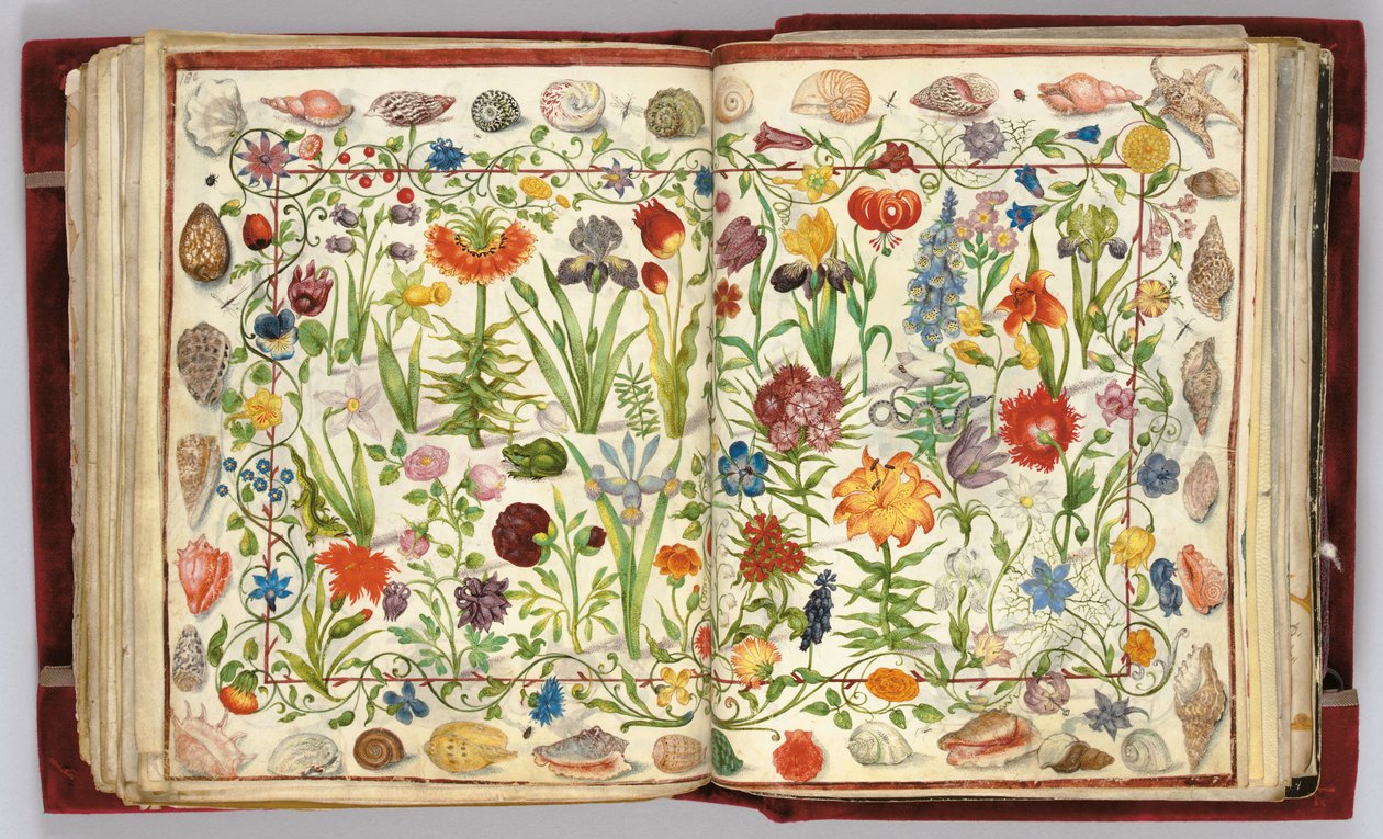 Páginas del Álbum Amicorum de Philipp Hainhofer, 1596-1633 de Unbekannt