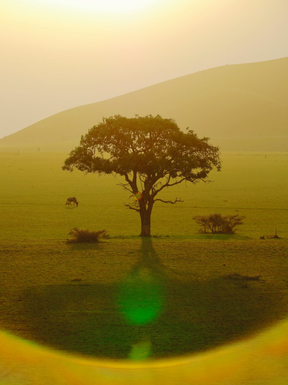 El paraíso después de la lluvia, Chyulu Hills, 2018 (fotografía) de Unbekannter Künstler