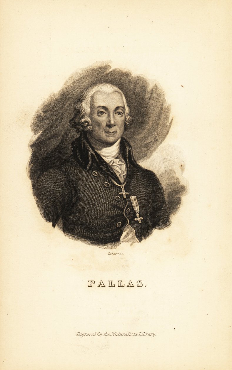 Peter Simon Pallas, explorador, zoólogo y botánico alemán de Unbekannt